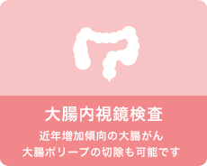 大腸内視鏡検査